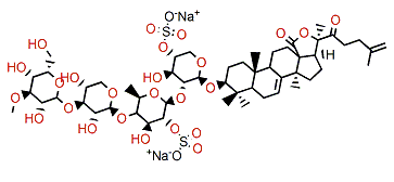 Pseudostichoposide B